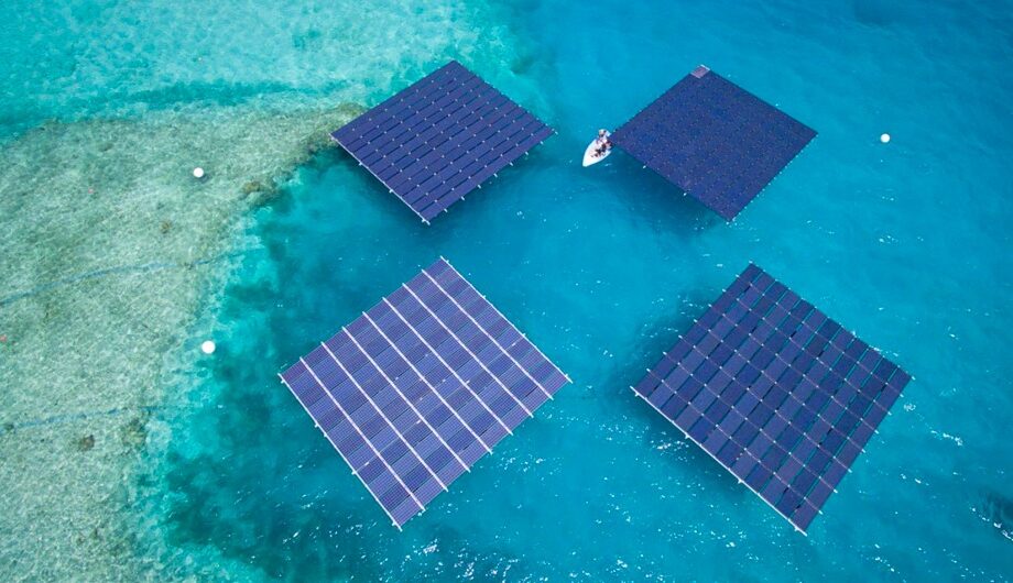 WhatsApp Image 2026-02-04 at 5.19.17 PM