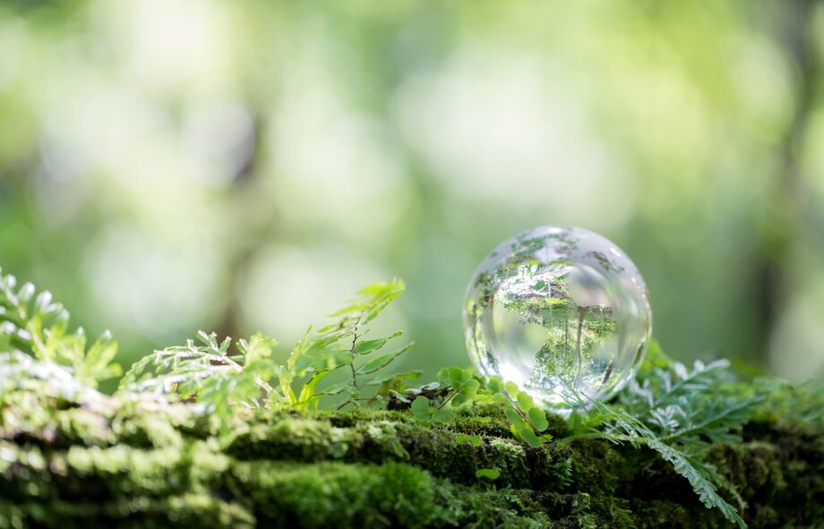 natur-umwelt-adobestock-doidam10-529738305