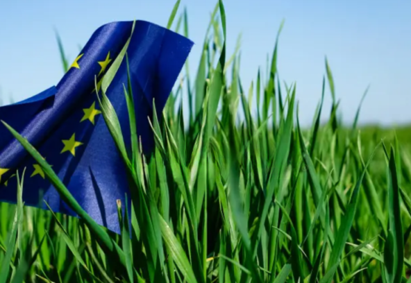 esrs-article-banner