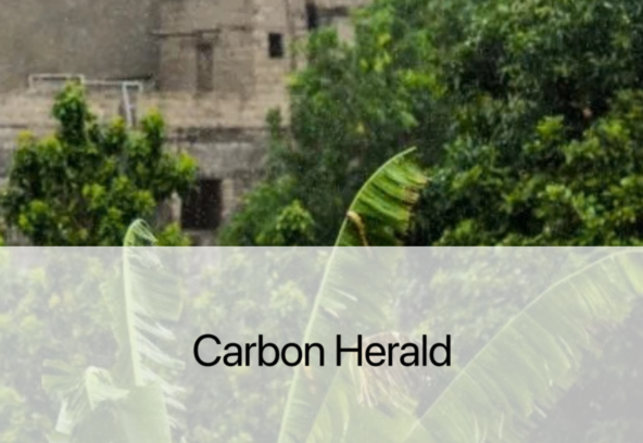 carbonHerald